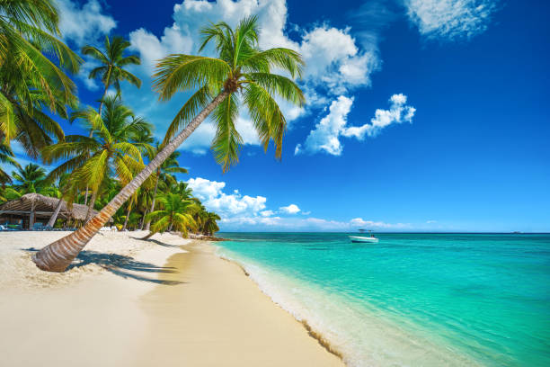 punta cana a