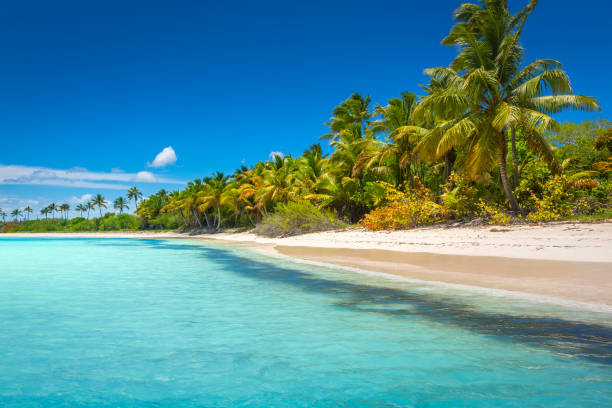 punta cana