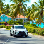 découvrez les règles essentielles pour conduire en guadeloupe en toute sécurité. conseils pratiques, réglementation locale et bonnes pratiques pour un voyage réussi.